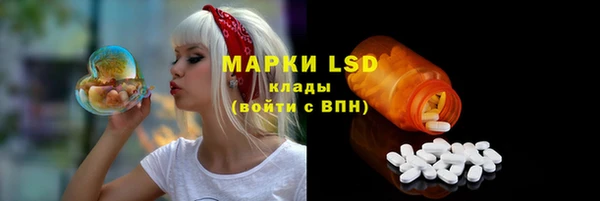 прущий лед Анива