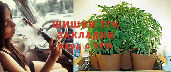 герыч Дубна