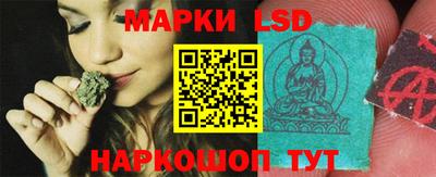 прущие грибы Абинск