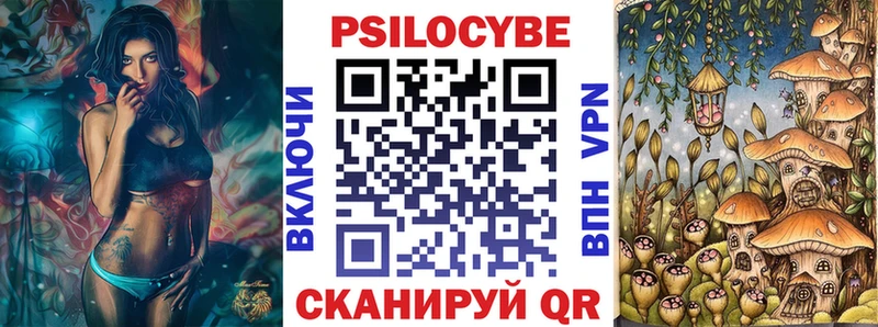 Псилоцибиновые грибы мицелий  купить наркотики цена  Алатырь 
