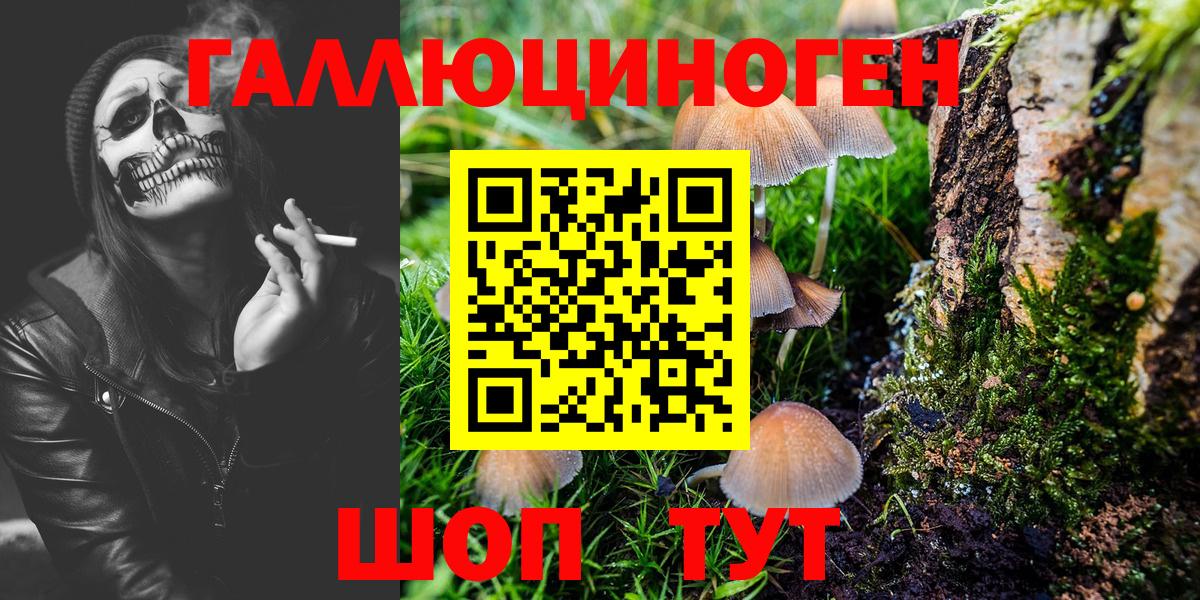Галлюциногенные грибы GOLDEN TEACHER Алатырь