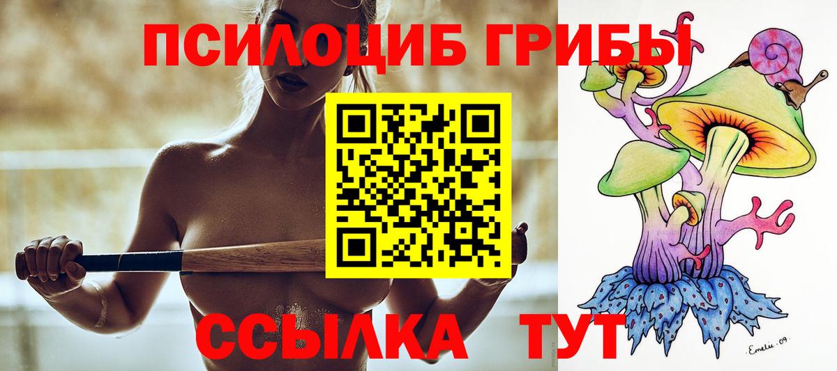 Галлюциногенные грибы MAGIC MUSHROOMS  Вход с VPN  Алатырь  Псилоцибиновые грибы GOLDEN TEACHER 