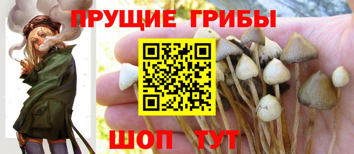 Алатырь  Галлюциногенные грибы MAGIC MUSHROOMS  Псилоцибиновые грибы GOLDEN TEACHER  Вход с VPN 