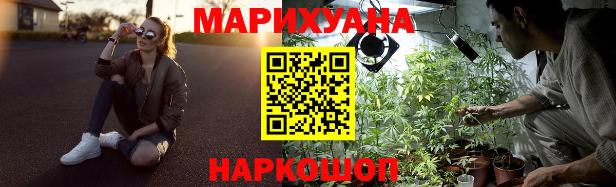 Бошки марихуана планчик  Бошки Шишки конопля  Бошки марихуана марихуана  Канабис марихуана  Алатырь 